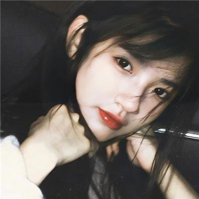 蝙蝠侠无极限：动物本能